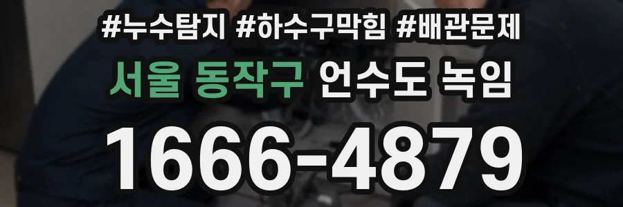 서울 동작구 언수도 녹임