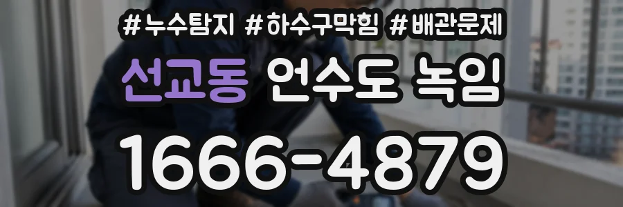 선교동 언수도 녹임