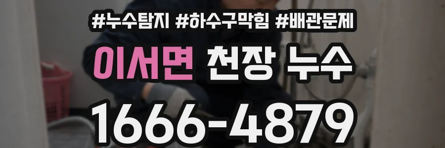 이서면 천장 누수