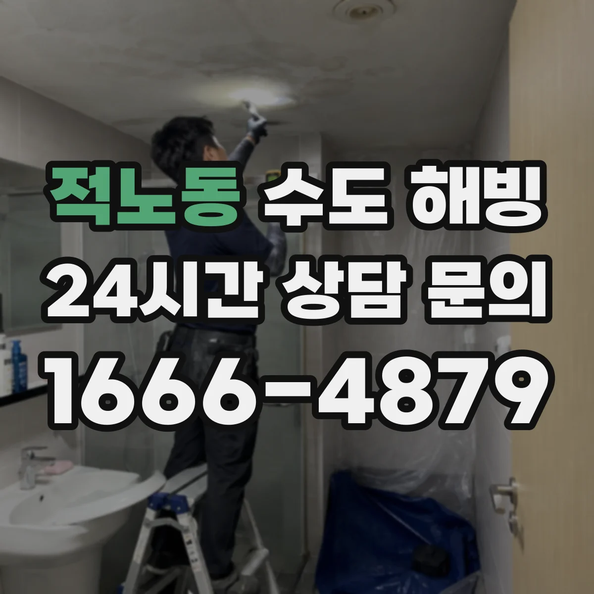 적노동 수도 해빙