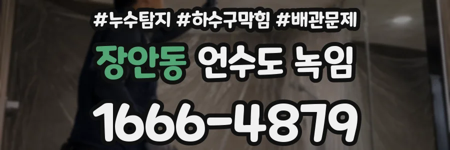 장안동 언수도 녹임