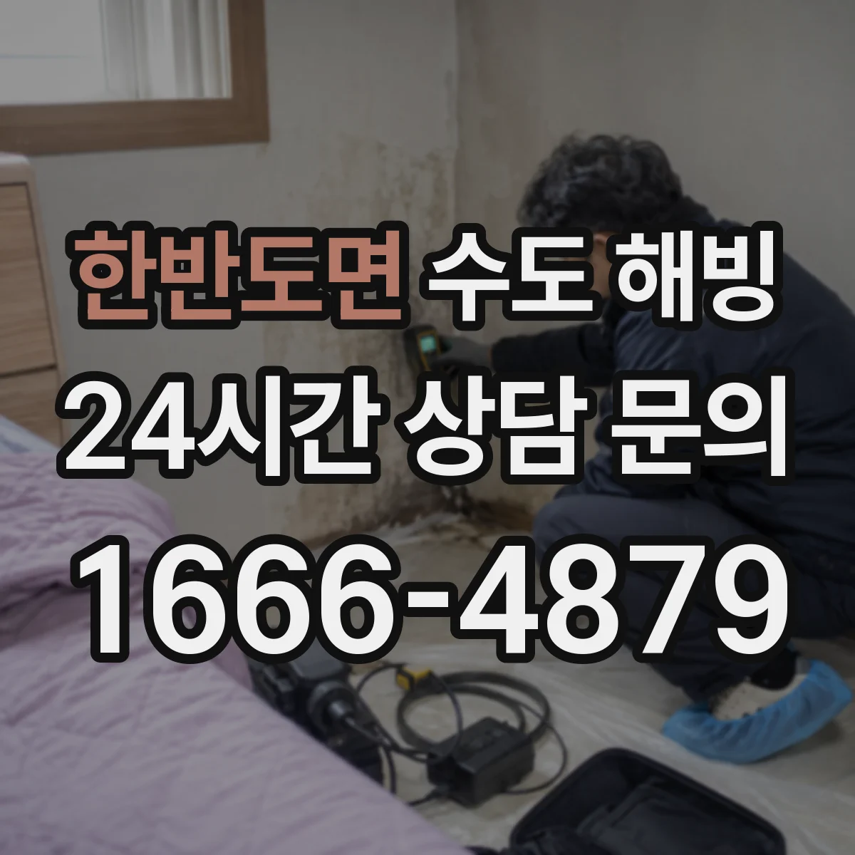 한반도면 수도 해빙