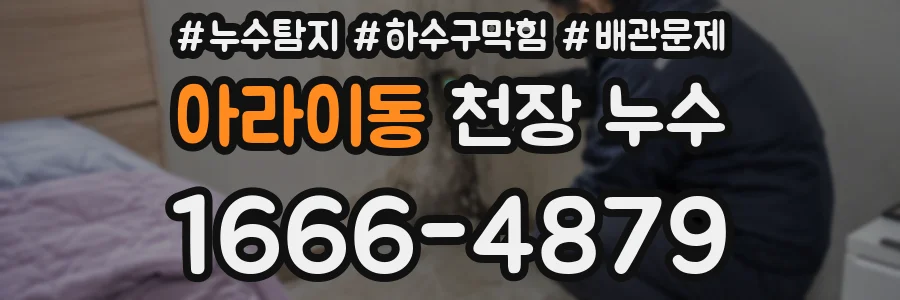 아라이동 천장 누수