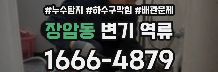 장암동 변기 역류