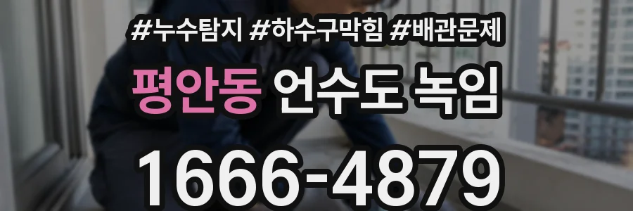 평안동 언수도 녹임