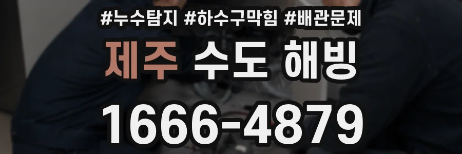 제주 수도 해빙