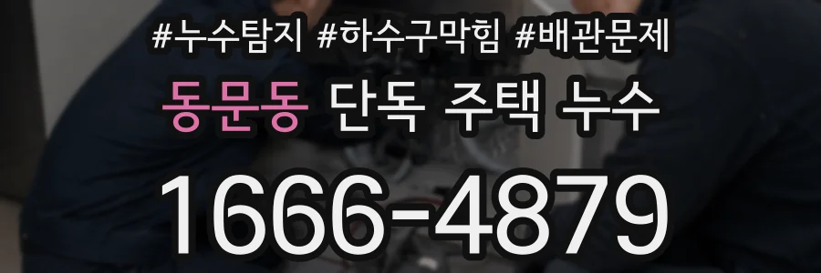 동문동 단독 주택 누수