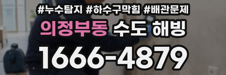 의정부동 수도 해빙