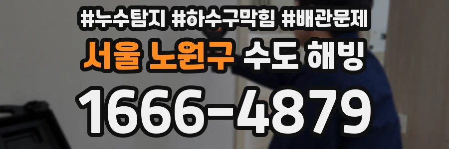 서울 노원구 수도 해빙