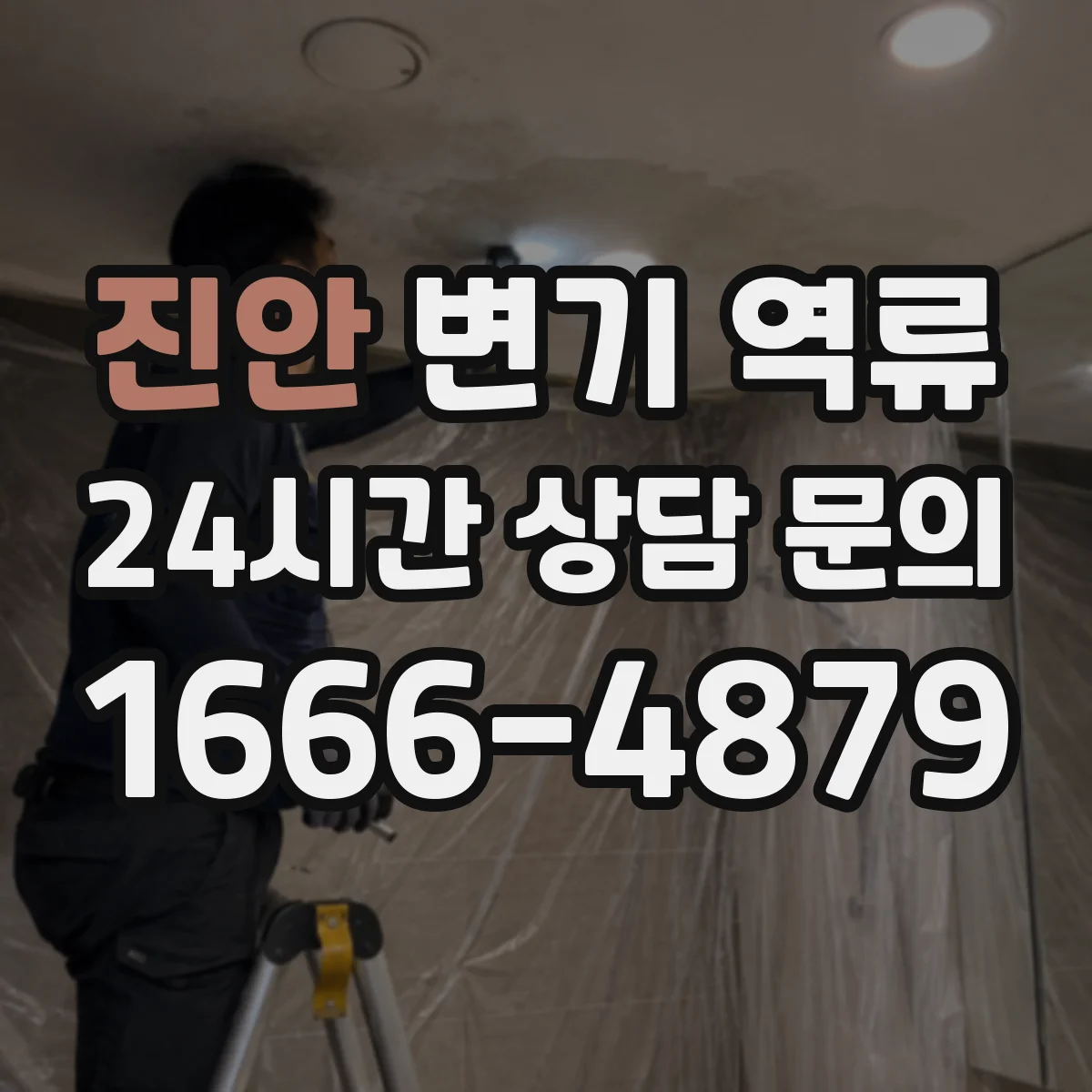 진안 변기 역류 응급 조치 뒤 재발 원인을 확인하는 순서