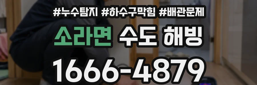 소라면 수도 해빙