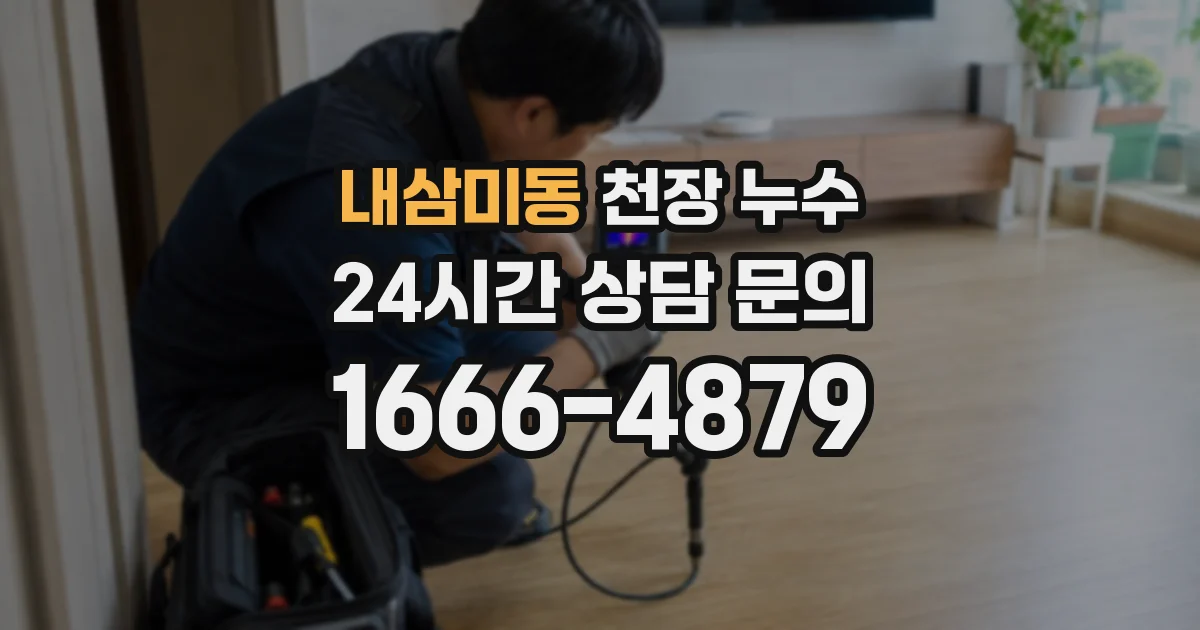 내삼미동 천장 누수