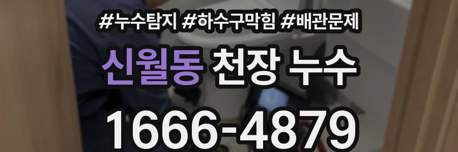 신월동 천장 누수