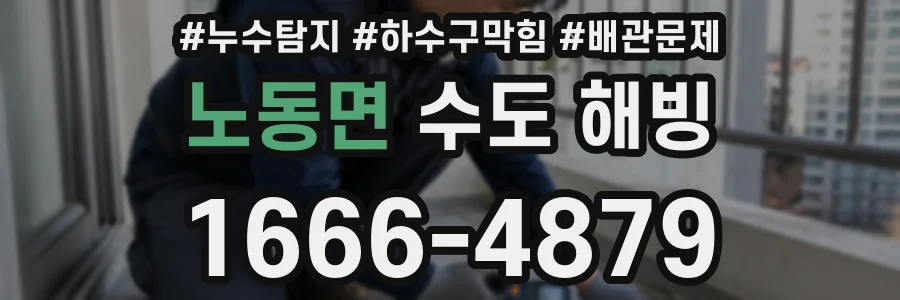 노동면 수도 해빙