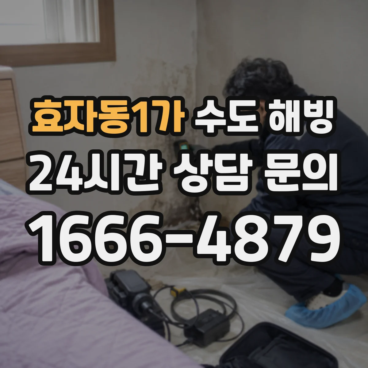 효자동1가 수도 해빙