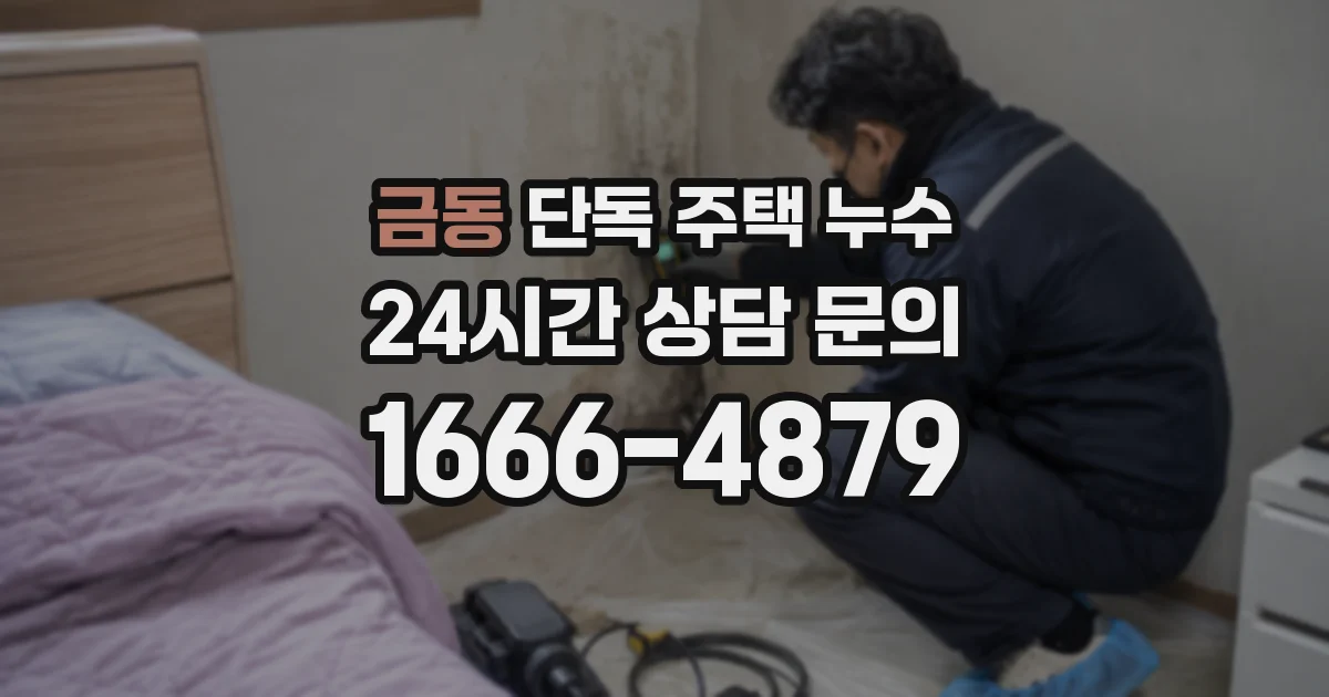 금동 단독 주택 누수