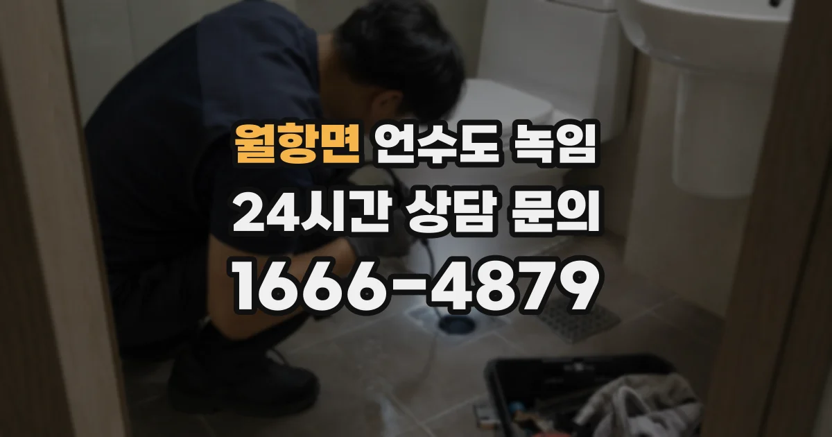 월항면 언수도 녹임