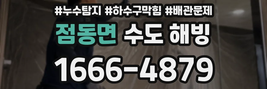 점동면 수도 해빙