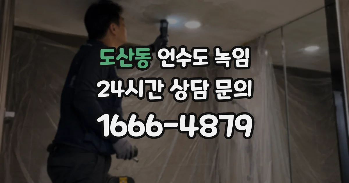 도산동 언수도 녹임