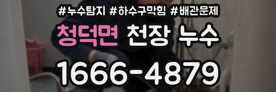 청덕면 천장 누수