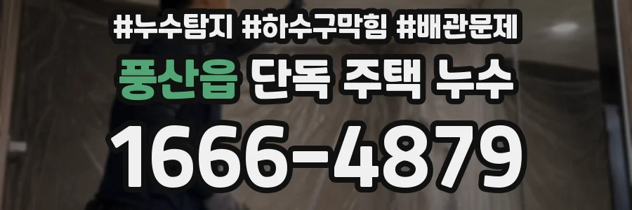 풍산읍 단독 주택 누수