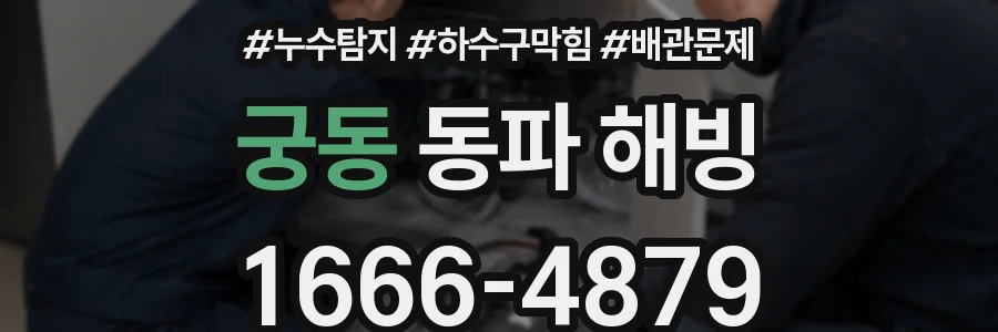 궁동 동파 해빙