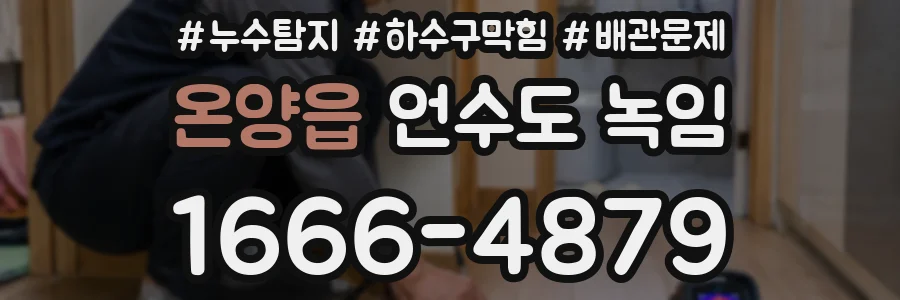 온양읍 언수도 녹임