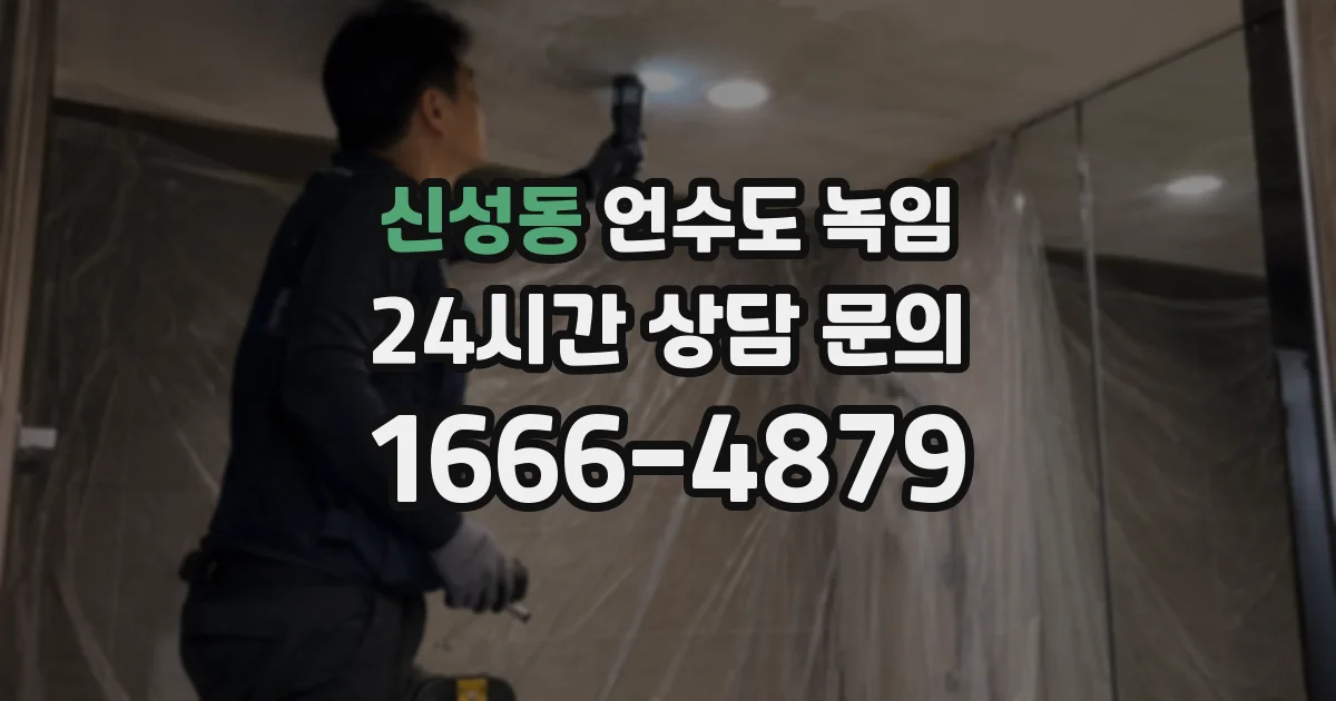 신성동 언수도 녹임