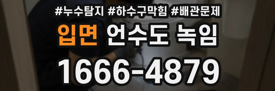 입면 언수도 녹임