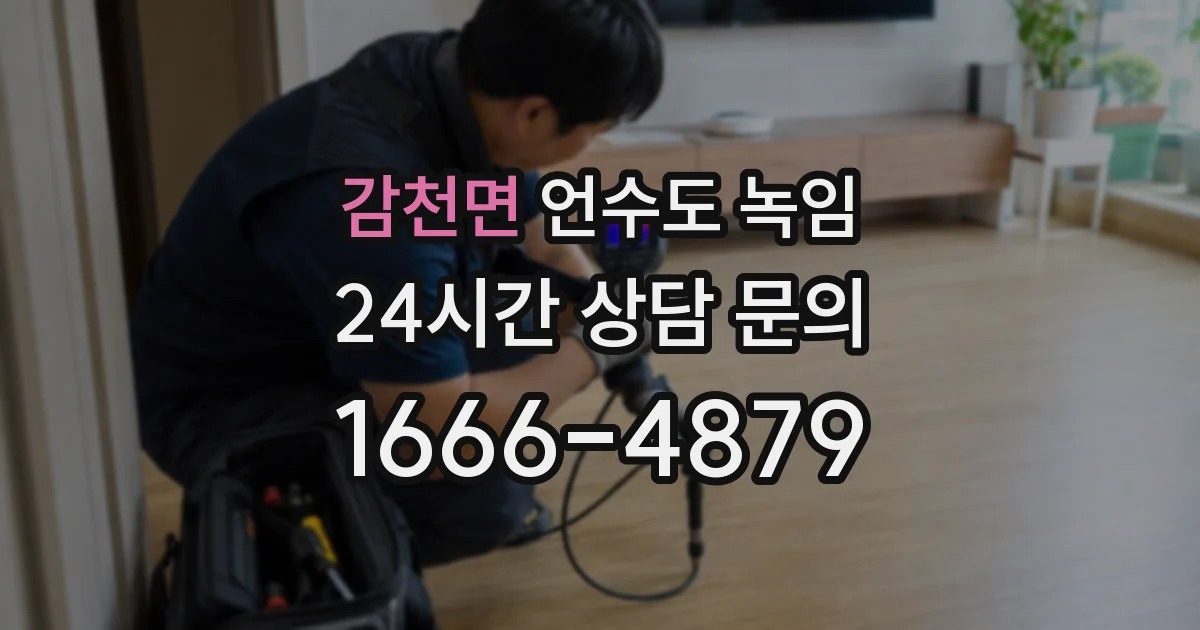 감천면 언수도 녹임