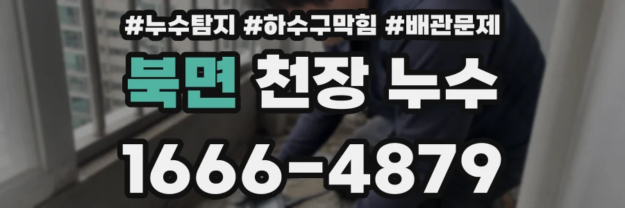 북면 천장 누수