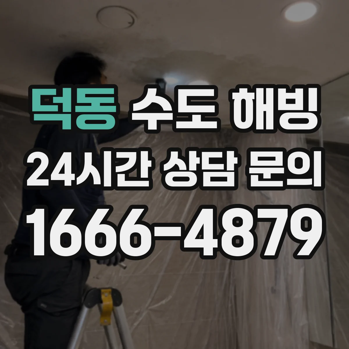 덕동 수도 해빙