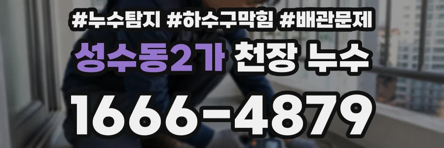 성수동2가 천장 누수