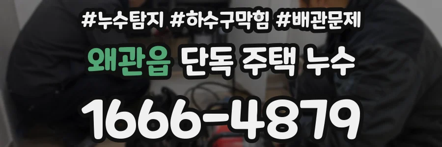 왜관읍 단독 주택 누수