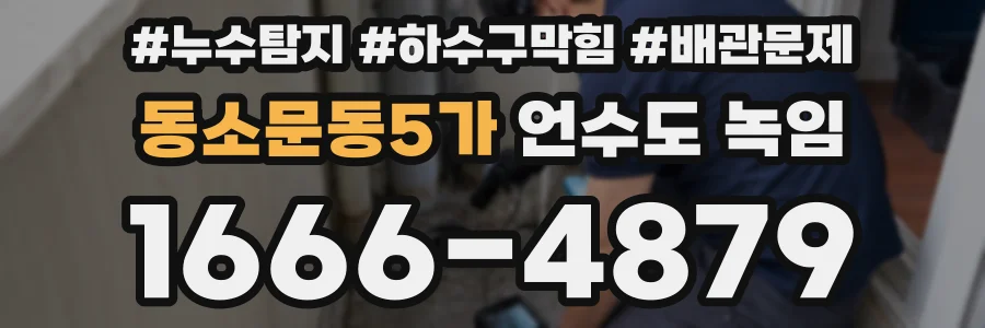 동소문동5가 언수도 녹임
