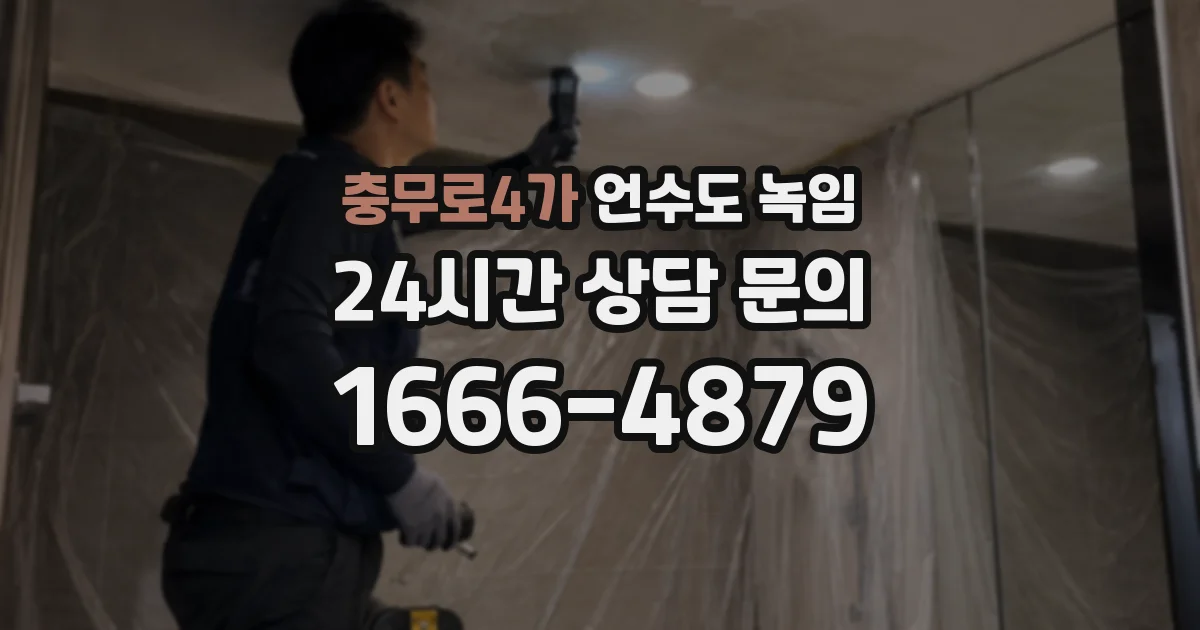 충무로4가 언수도 녹임