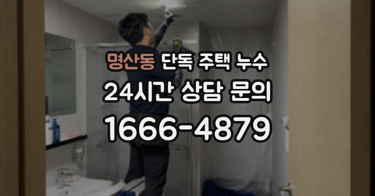 명산동 단독 주택 누수