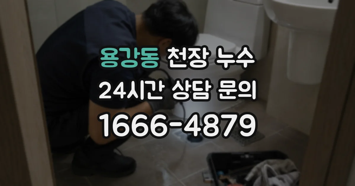 용강동 천장 누수