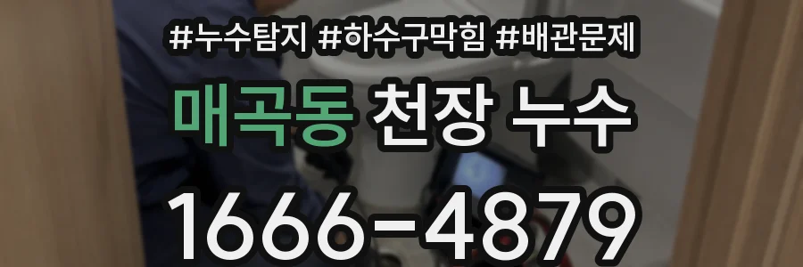 매곡동 천장 누수