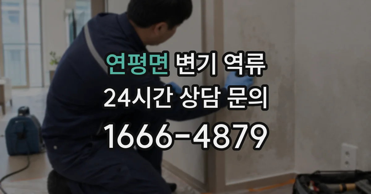 연평면 변기 역류