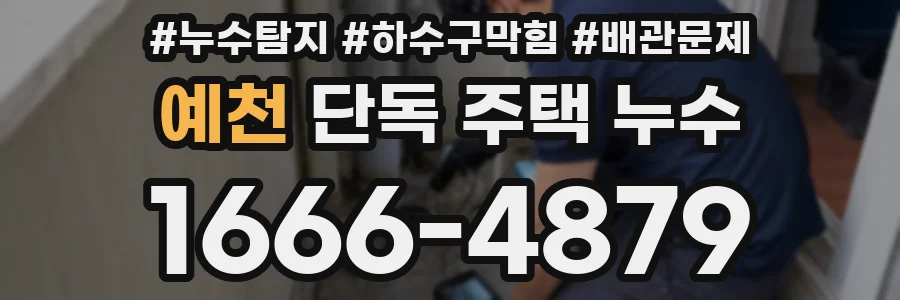 예천 단독 주택 누수