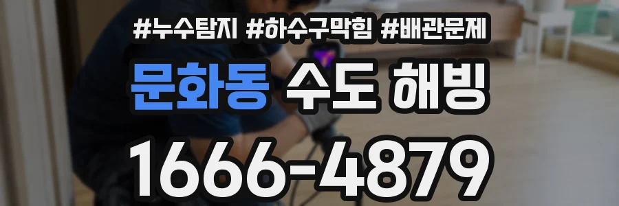 문화동 수도 해빙