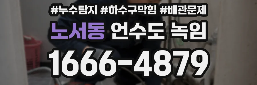 노서동 언수도 녹임