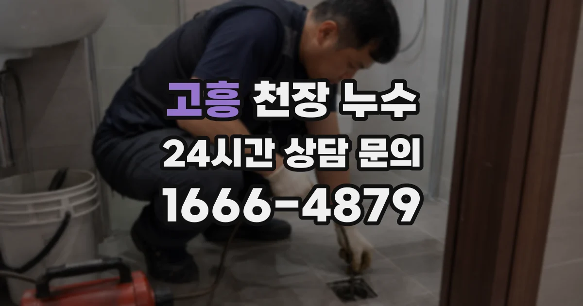 고흥 천장 누수