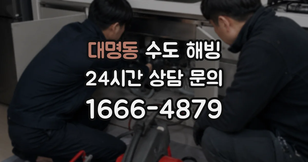 대명동 수도 해빙