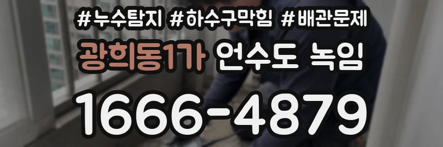 광희동1가 언수도 녹임