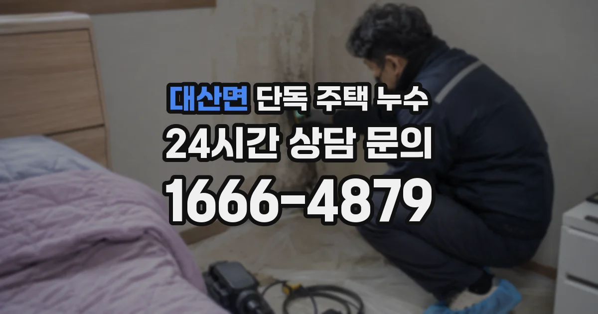 대산면 단독 주택 누수