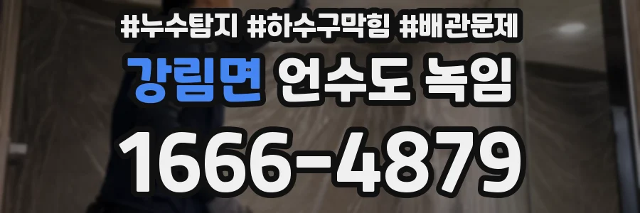 강림면 언수도 녹임