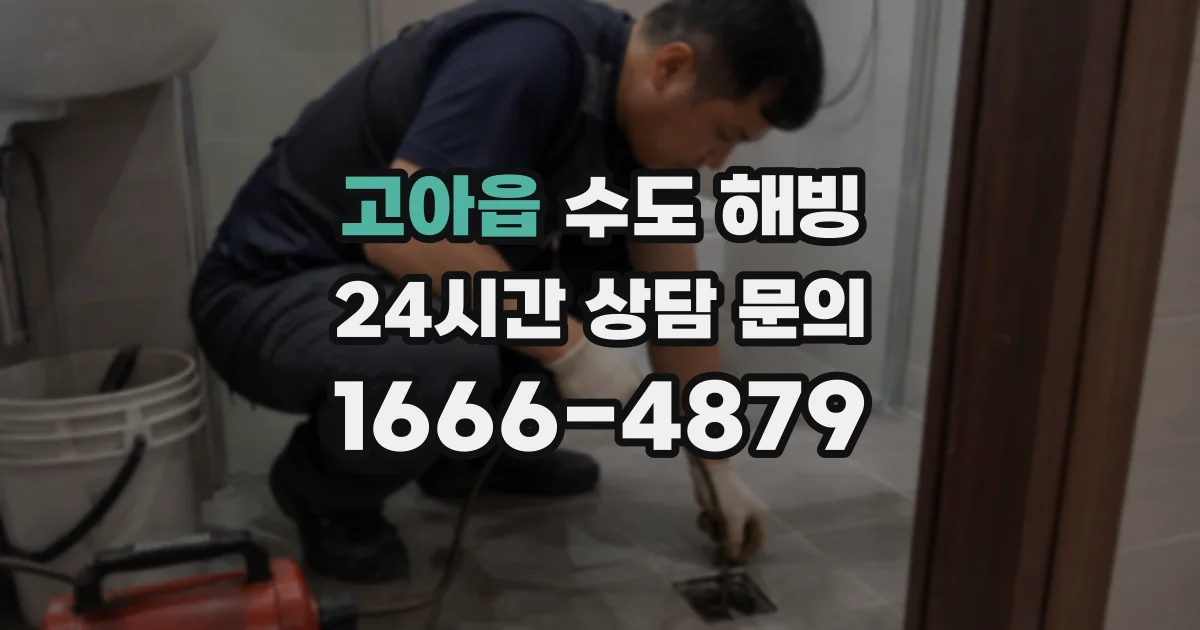 고아읍 수도 해빙