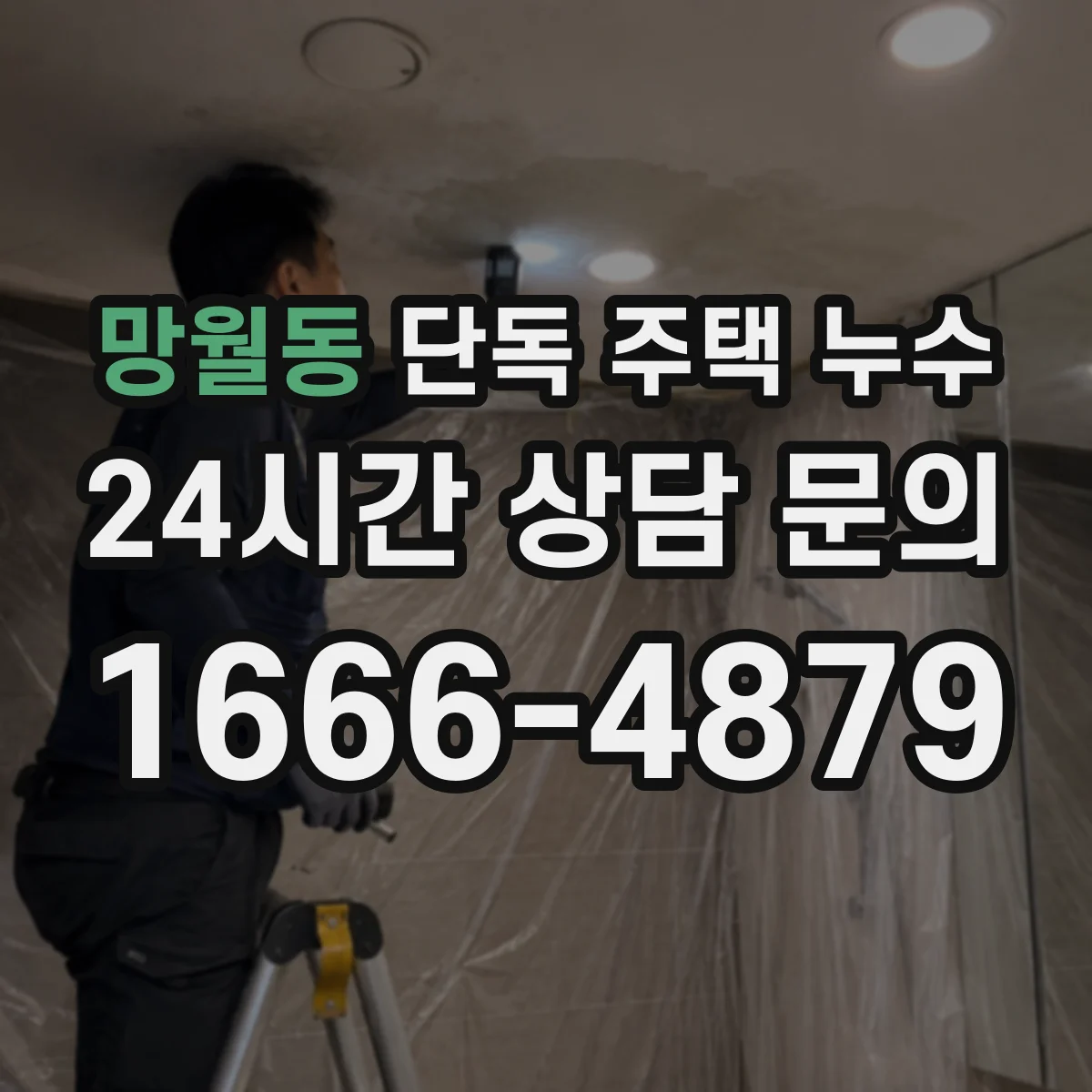망월동 단독 주택 누수